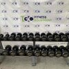 Life Span Fitness Free Weights