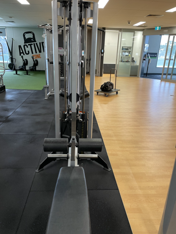 Integrity Strength Lat Row Combo Omni