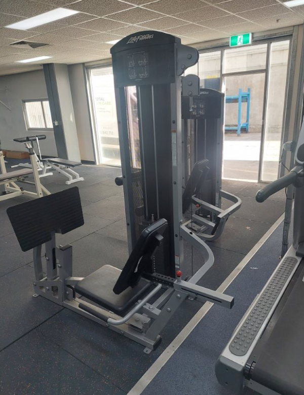 Life Fitness Leg Press Calf Raise